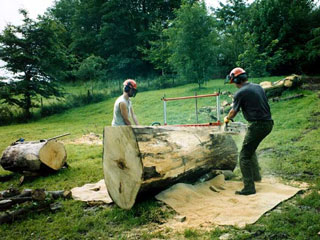 Cornwall Tree Surgeons